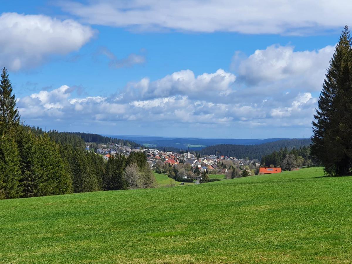 Ferienhaus-Schönwald im Herzen des Schwarzwaldes 2-Zimmer-Maisonette-Wohnung mit Balkon App 12 Exterior foto