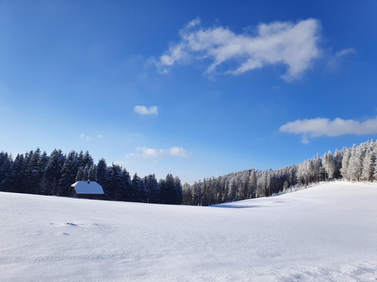 Ferienhaus-Schönwald im Herzen des Schwarzwaldes 2-Zimmer-Maisonette-Wohnung mit Balkon App 12 Exterior foto